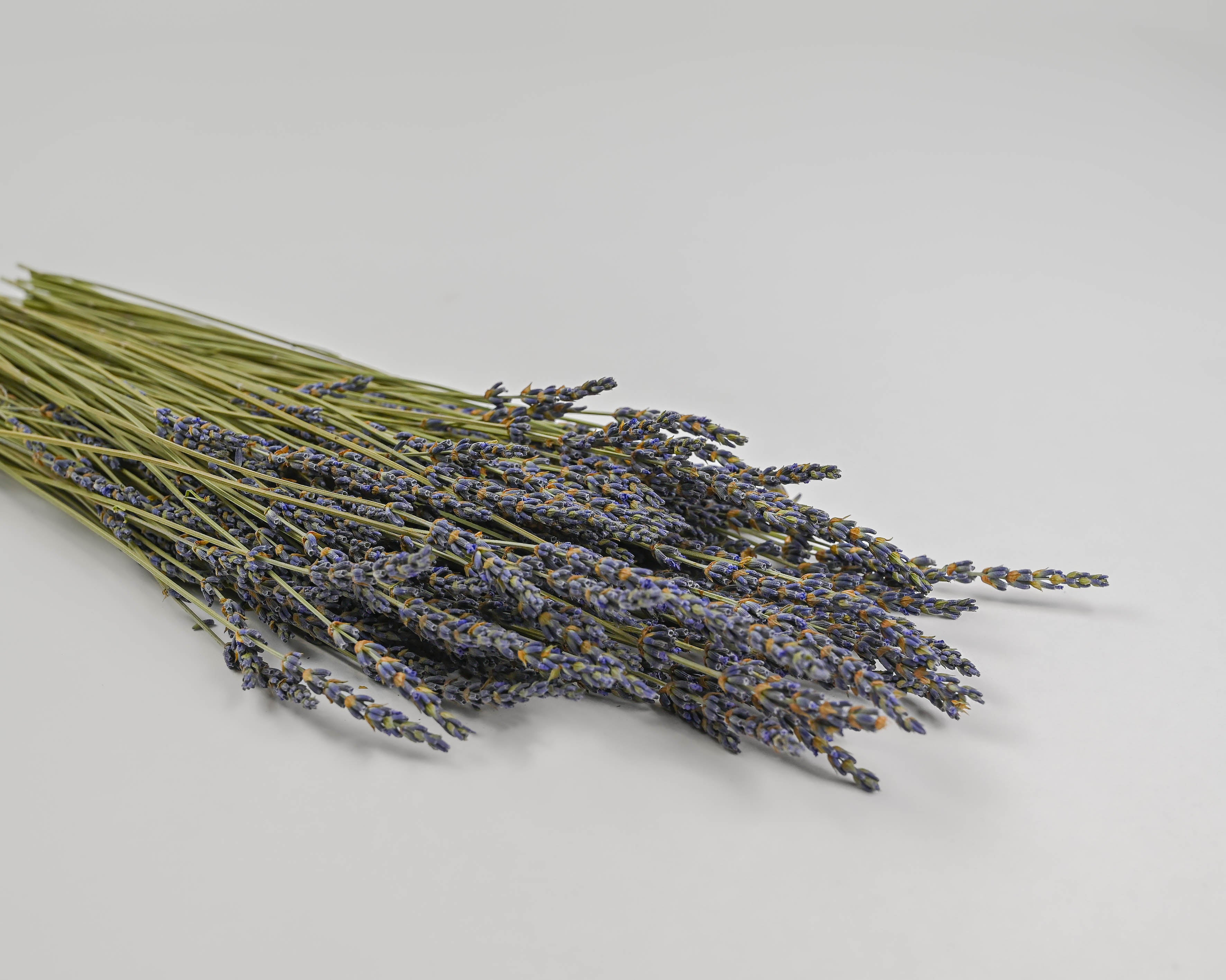 Dried French Lavender Bunches- Set of 2 - New York Lavender by the Bay –  Lavender By The Bay