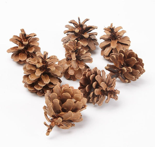 Austriaca Pine Cones