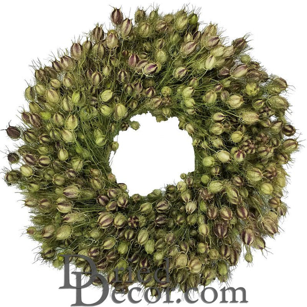 Dried Nigella Flower Wreath - 22 or 30 inch