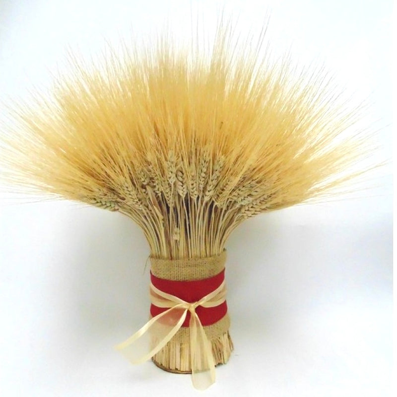 Holiday Wheat Stack Bundle | 240-300 Stems