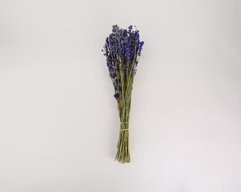 Dried Flowers, Bulk Dried Flower, 1 Set Dark Blue White Flower