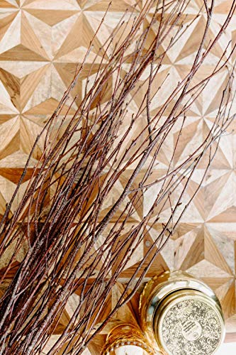 ECOVENIK 50 psc. Birch Twigs - 100% Natural Decorative Birch Branches for Vases, Centerpieces & DIY Crafts - Birch Sticks for Decorating