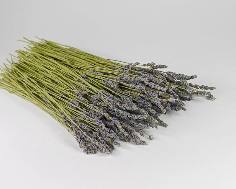 Dried Lavender Stems 100g – Curated Grey