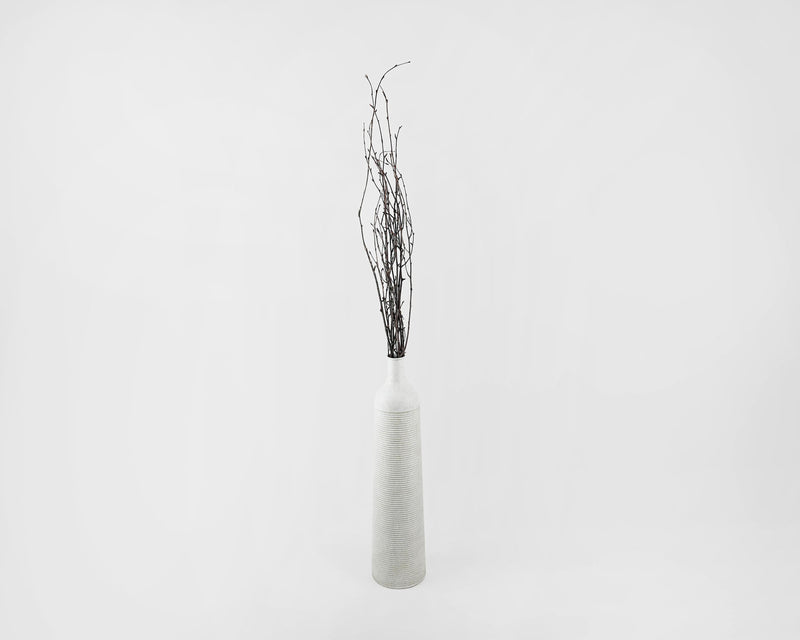 Best Deal for SOUJOY 100 PCS Birch Twigs for Vase, 17 Inch Thin Birch