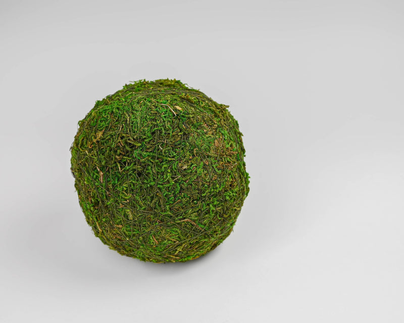 Dried Moss Balls - Preserved - 2-12 inch diameter