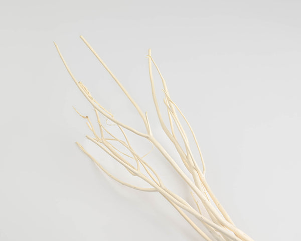 Mitsumata Branches  Decorative Branches for Vases