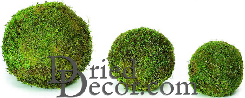 Large - XXL Pure Green Moss Balls Dried Organic Rattan Wedding Garden Home  Decor